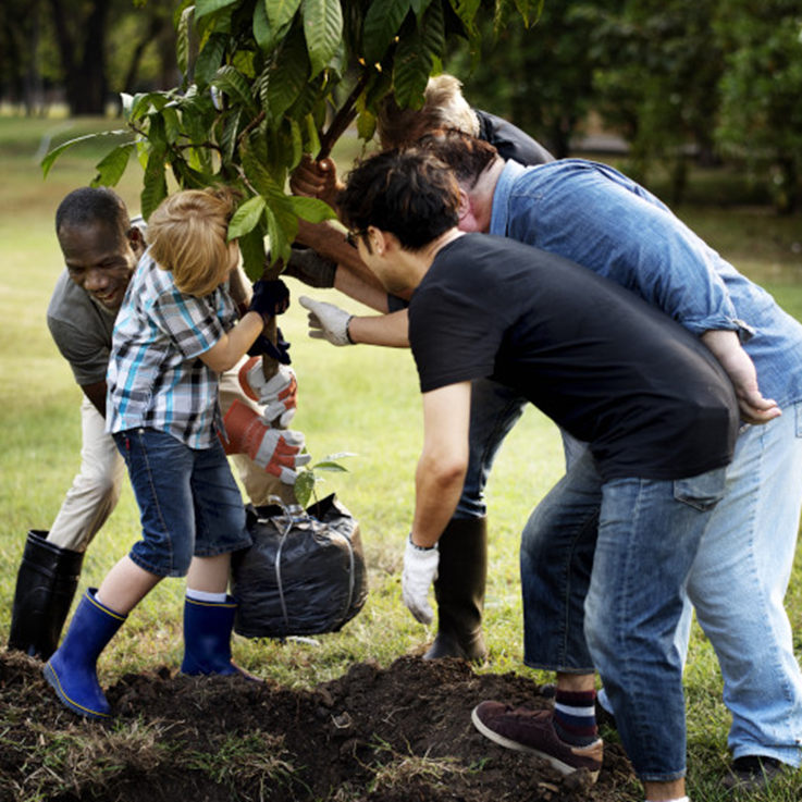 a group of teenagers planting tree